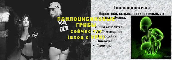 шишки Богданович