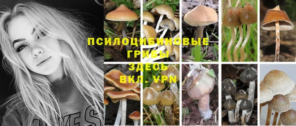 шишки Богданович