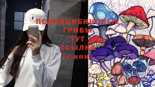 ALPHA-PVP Богородицк